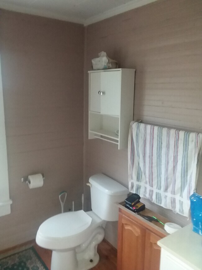 334 W Blue Ridge St, Pendleton, SC 29670 - photo 3