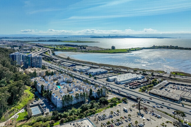 Interstates 80 and 580 run north and south along the bay in Albany, leading 14 miles southwest to San Francisco.
