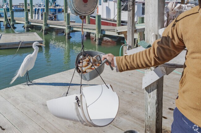 Mount Pleasant locals shop for shrimp on Shem Creek at Geechie Seafood in Mount Pleasant.