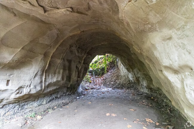 The abandoned Westport Logging Tunnel is a historic site in Westport.