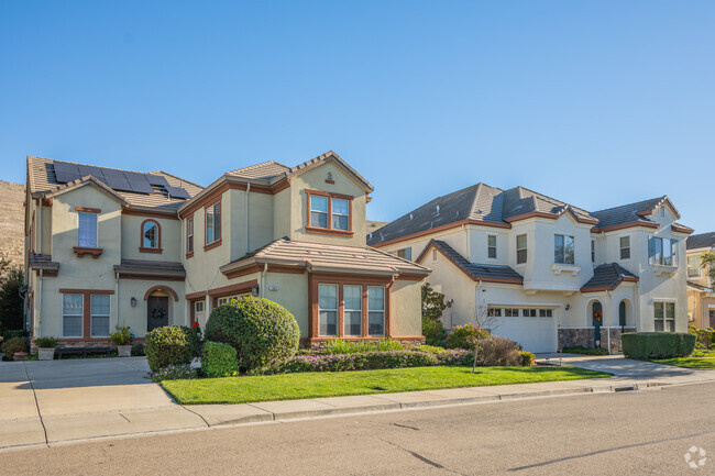 A row of large two story modern homes is common in the Silvergate neighborhood.