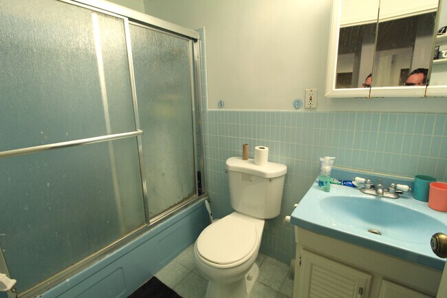 34 Lake Shore Terrace unit 2, Brighton, MA 02135 - photo 4