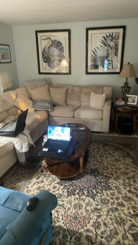 16416 US Hwy 19 N, Clearwater, FL 33764 - photo 3