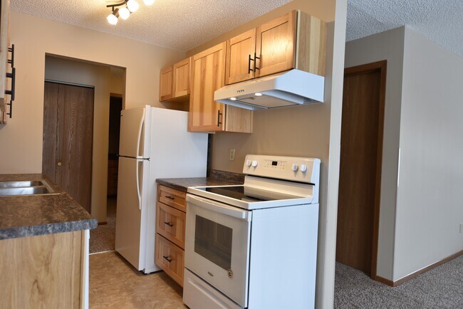 924 4th St SW unit 207, Forest Lake, MN 55025 - photo 3