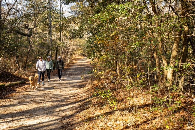 Dog walkers enjoy serene trails and scenic views at First Landing State Park in Virginia Beach.