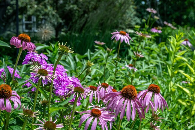 Bryn Mawr is known for its vibrant gardens.