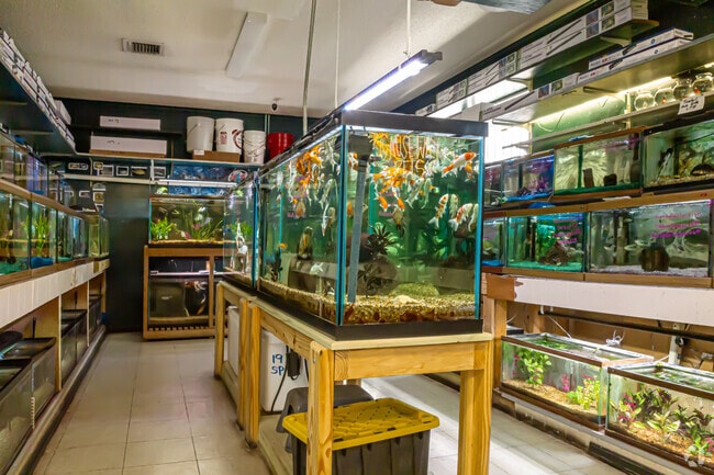 Causeway Pets offers top-of-the-line aquariums and supplies in New Metairie.