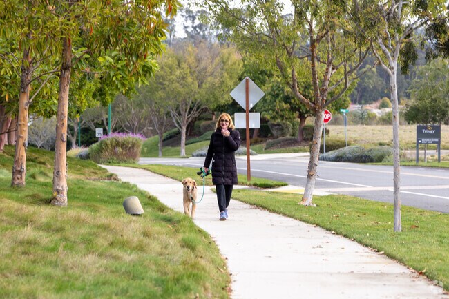 There are many nice walking trails in Woodlands.