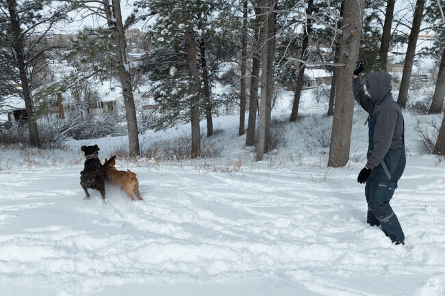 Winter adventures in Casper bring joy to both people and their four-legged friends.