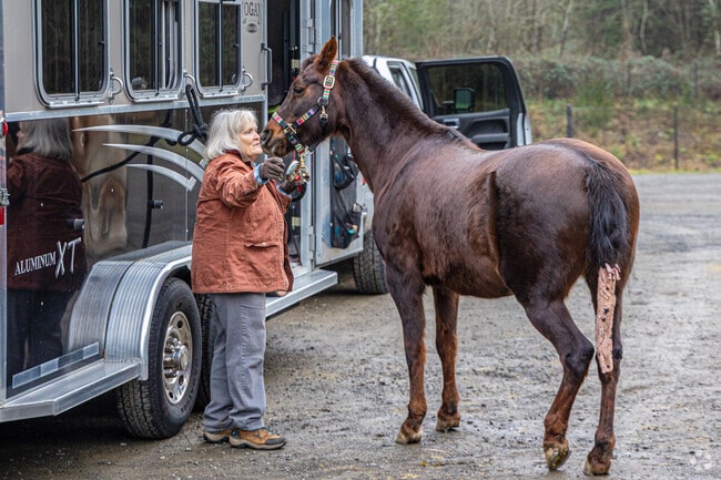 Taylor Mountain Trail offers hiking and horseback riding in Hobart.