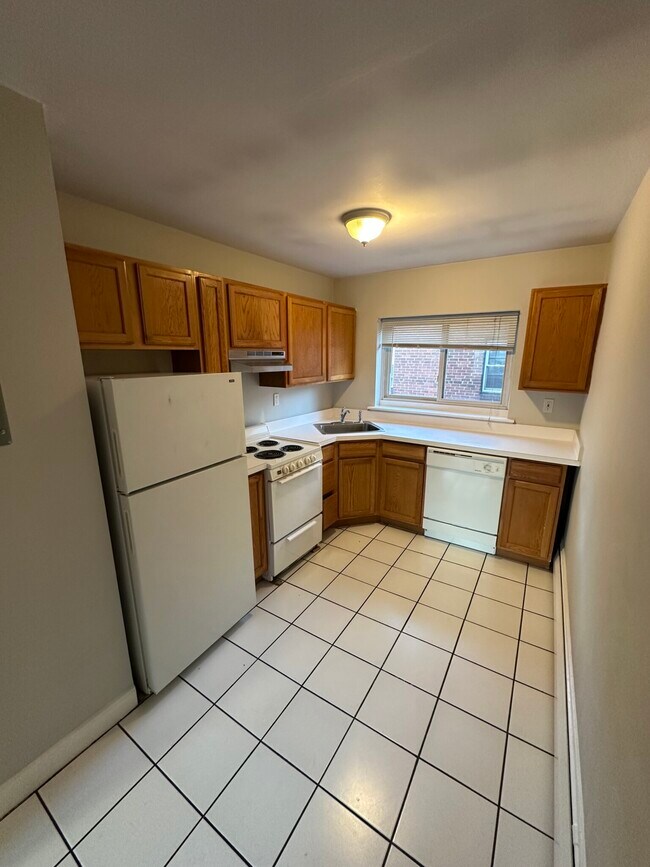 61 Selkirk Rd unit 11, Brighton, MA 02135 - photo 2