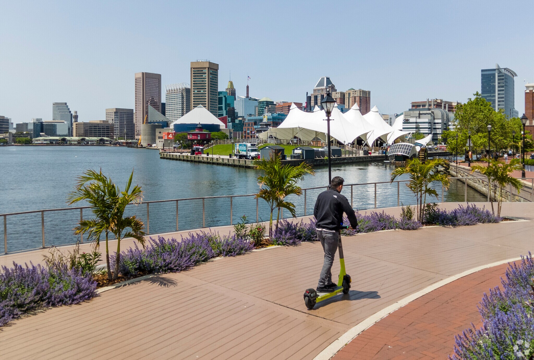 Carroll-South Hilton residents can hop on a scooter and explore Baltimore City.