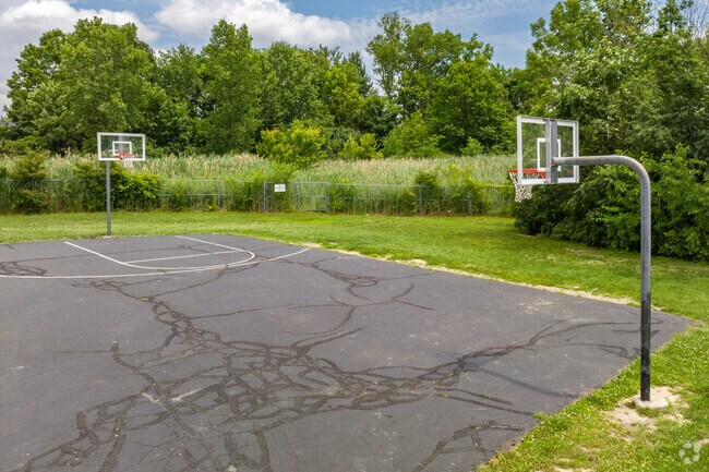 Hunter Elementary School basketball court in the city of Trenton.