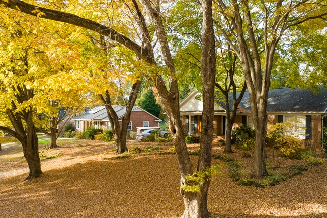 Beautiful tree lined neighborhoods are abundant in Mt Tabor.
