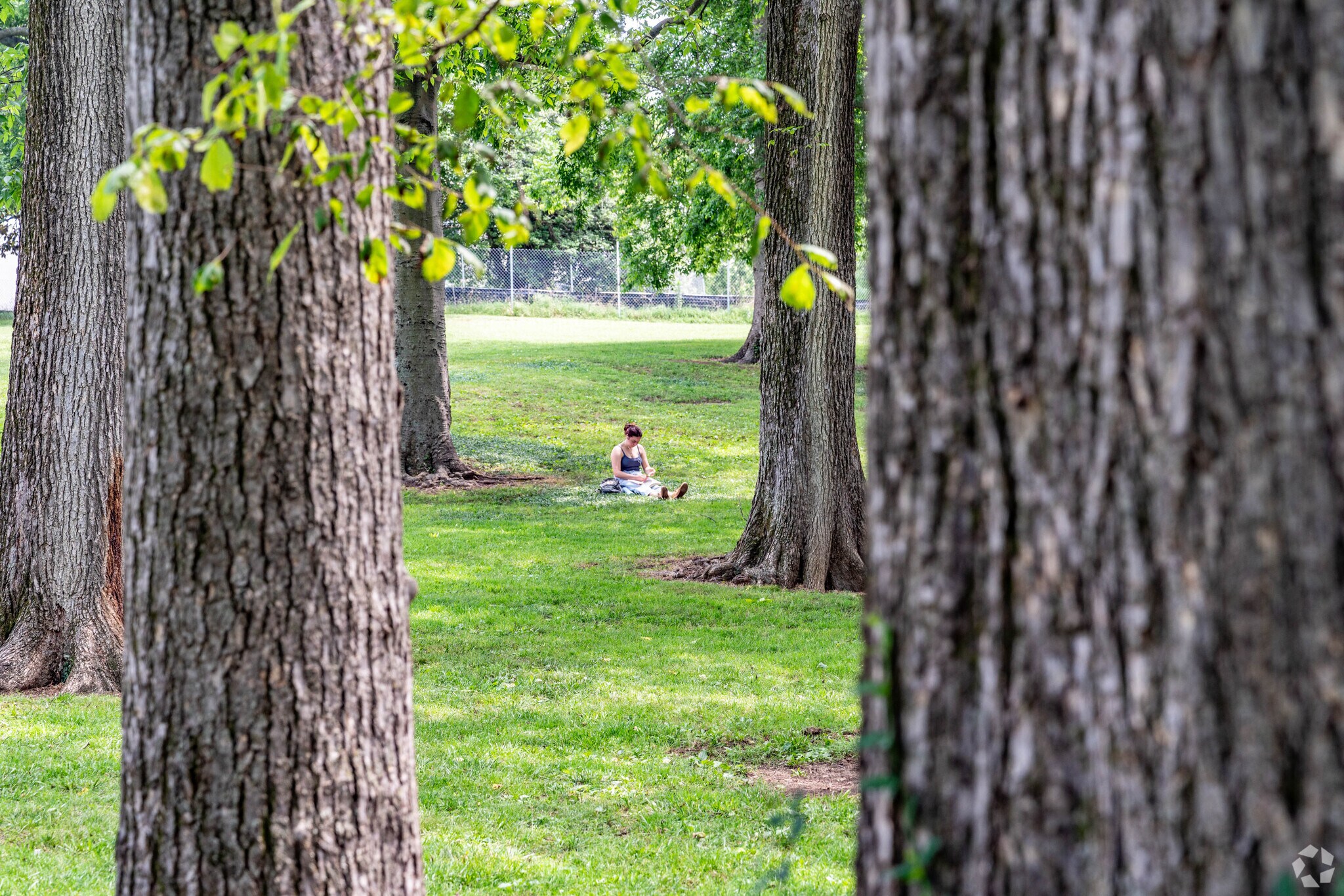 you can sit in the grass enjoying the day at Sevier Park in 12 South.