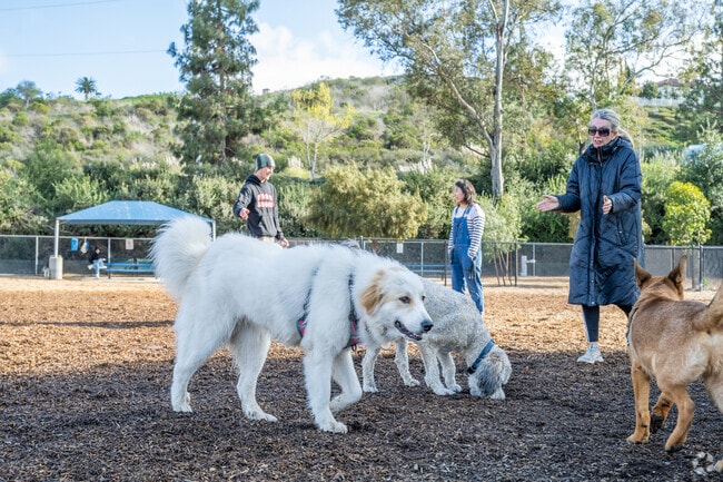 Laguna Niguel Pooch Park near Dana Hills is popular with dog owners.