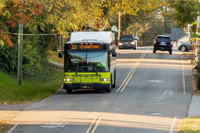 Alice Bell residents have public transportation options to get around town.
