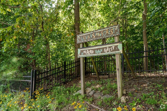 Govans Urban Forest is a protected, natural space in the Winston-Govans community.