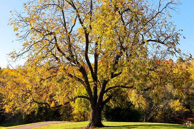 Highland Park in Highland Heights features mature trees and open green space near the civic center.
