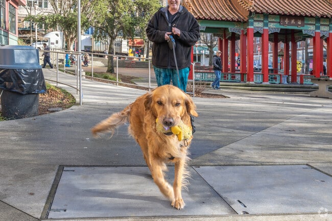 Meet the neighborhood pack Chinatown-International District.