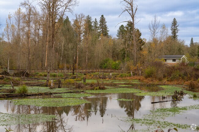 Watch a variety of birds at the Delly Dell Wetlands boardwalk in Woodard Park.
