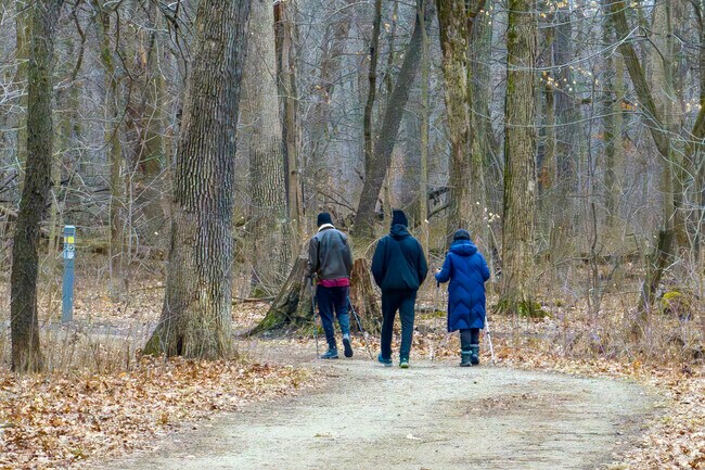 The Des Plaines River Trail runs for 56 miles and goes through the heart of Des Plaines.