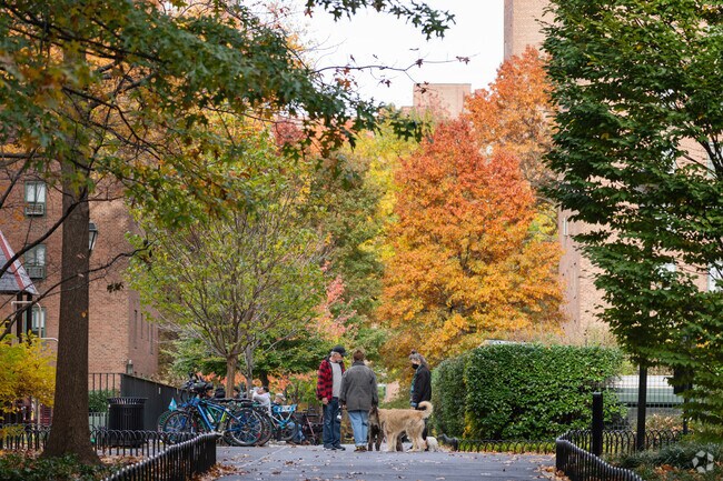 Dog walkers enjoy quiet mornings along StuyTown paths in Stuyvesant.
