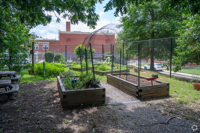 The community garden at Anne Beers Elementary School in Washington, DC.
