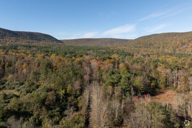 Hidden amongst the trees, Armstrong residents can hike the Williamsport Water Authority Trails.