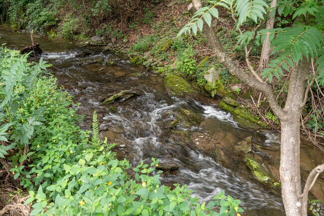 Toby Creek runs through the heart of Trucksville down the mountain.