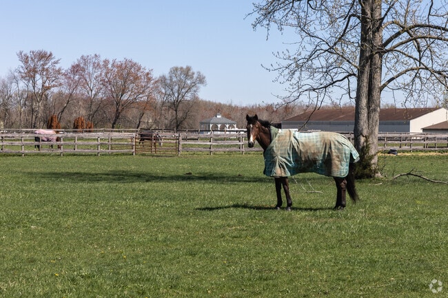 There are many places that you can board your horse in Southampton.