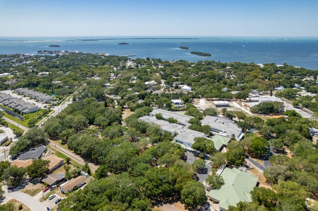 Ozona Elementary School in Palm Harbor cultivates intellectual and social growth.