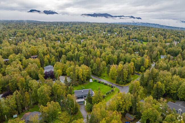 Aerial view of Huffman-O'Malley shows the neighborhood's rural character.