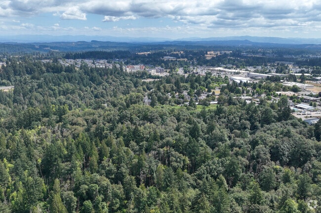 There's plenty of great hiking opportunities in the Caufield neighborhood.