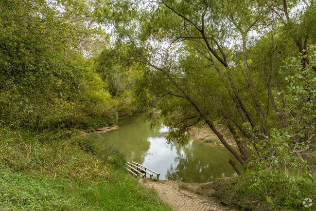 Graytown Park has a short hiking trail that winds through the woods along the San Antonio River.