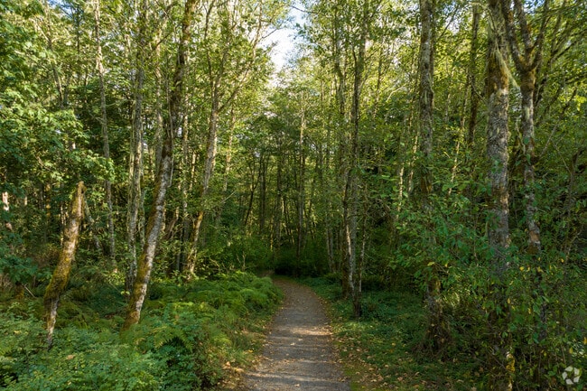 Scenic trails just steps from your front door in Cougar Mountain.