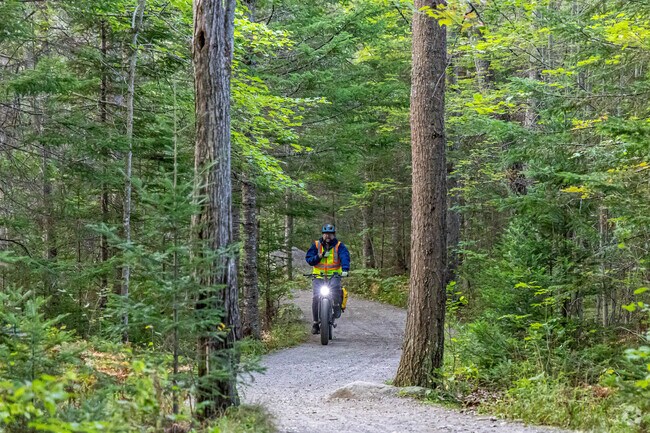 Enjoy a bike ride through the Orono Bog Boardwalk in Veazie.