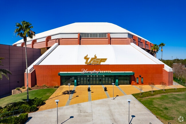 Catch a game at the USF Yuengling Center in University Hillsborough.