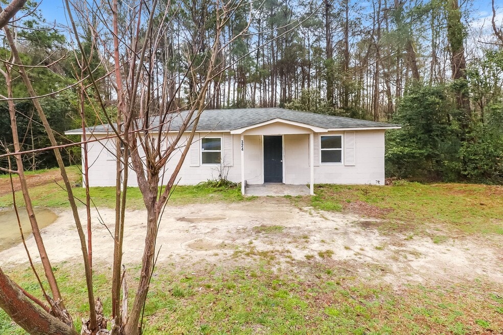 324 Adams Ave, Batesburg, SC 29006 - photo 1