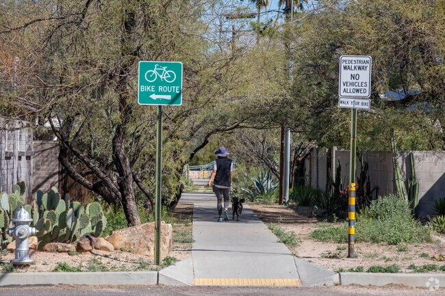 A resident taking a troll with their pet in Arroyo Chico, Tucson, AZ.