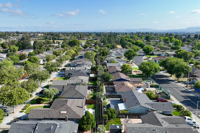 An overview of a quiet neighborhood in Birdland.