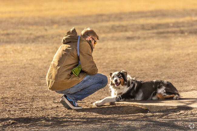 Dogs can roam free at this spacious park, which has a walking path around the perimeter.