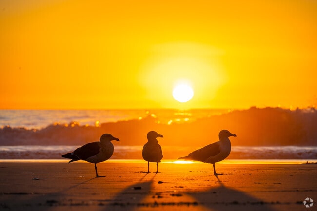 Dana Point beaches and sunsets are among of the most beautiful along the west coast.