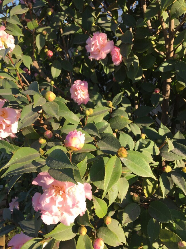 840 W 168th St unit B, Gardena, CA 90247 - photo 7