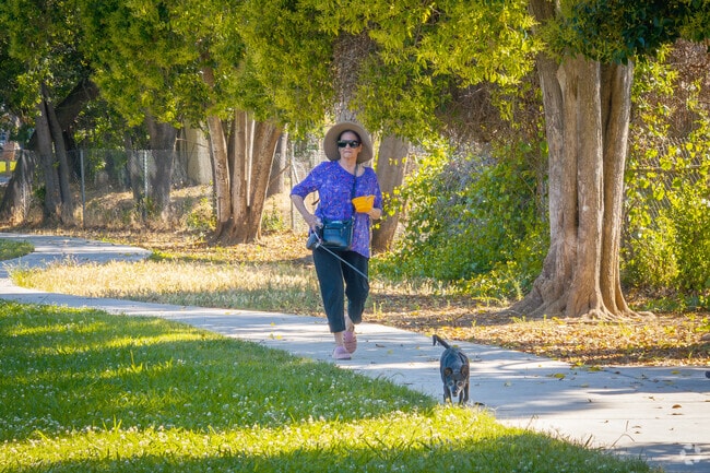 Large trees provide shade for walks in Cordova Lane.