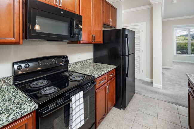 Groves at Town Center, Fletcher, NC 28732 - photo 6