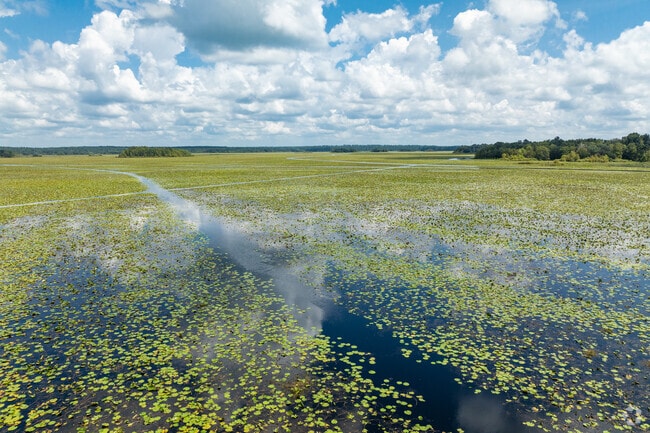 Lake Iamonia, between Tallahassee and the Georgia border, is an oasis of natural beauty.
