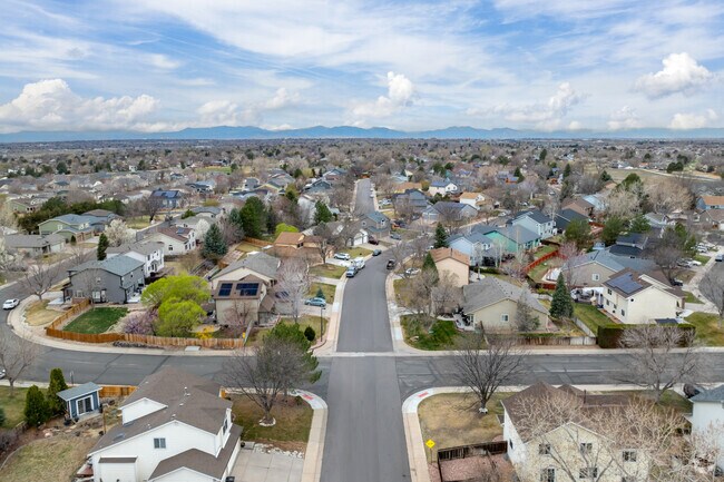 Holly Point, about 15 miles north of downtown Denver, is a calm, suburban neighborhood.