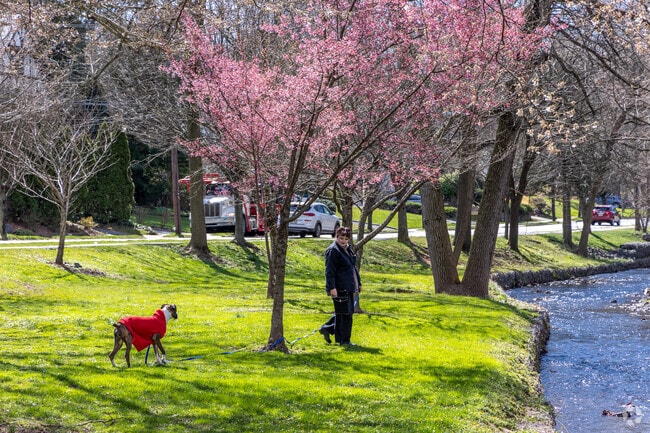 Discover Memorial Park in Nutley, with a leisurely dog walk.