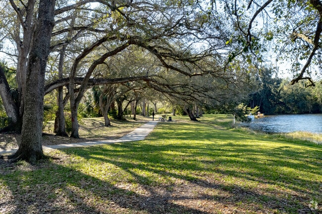 Beautiful oak trees are common in the Robbins Park neighborhood of Davie, Florida.